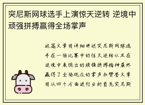 突尼斯网球选手上演惊天逆转 逆境中顽强拼搏赢得全场掌声