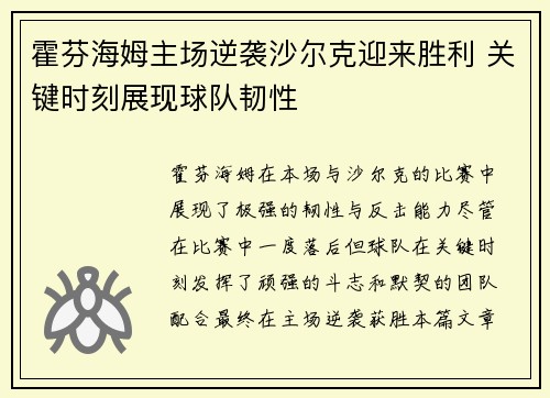 霍芬海姆主场逆袭沙尔克迎来胜利 关键时刻展现球队韧性