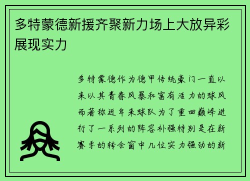 多特蒙德新援齐聚新力场上大放异彩展现实力