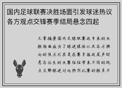 国内足球联赛决胜场面引发球迷热议各方观点交锋赛季结局悬念四起