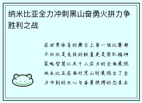纳米比亚全力冲刺黑山奋勇火拼力争胜利之战