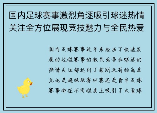 国内足球赛事激烈角逐吸引球迷热情关注全方位展现竞技魅力与全民热爱