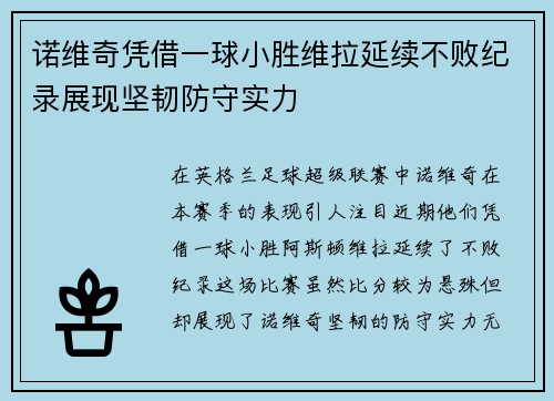 诺维奇凭借一球小胜维拉延续不败纪录展现坚韧防守实力